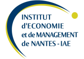 Logo de l'IEMN de Nantes